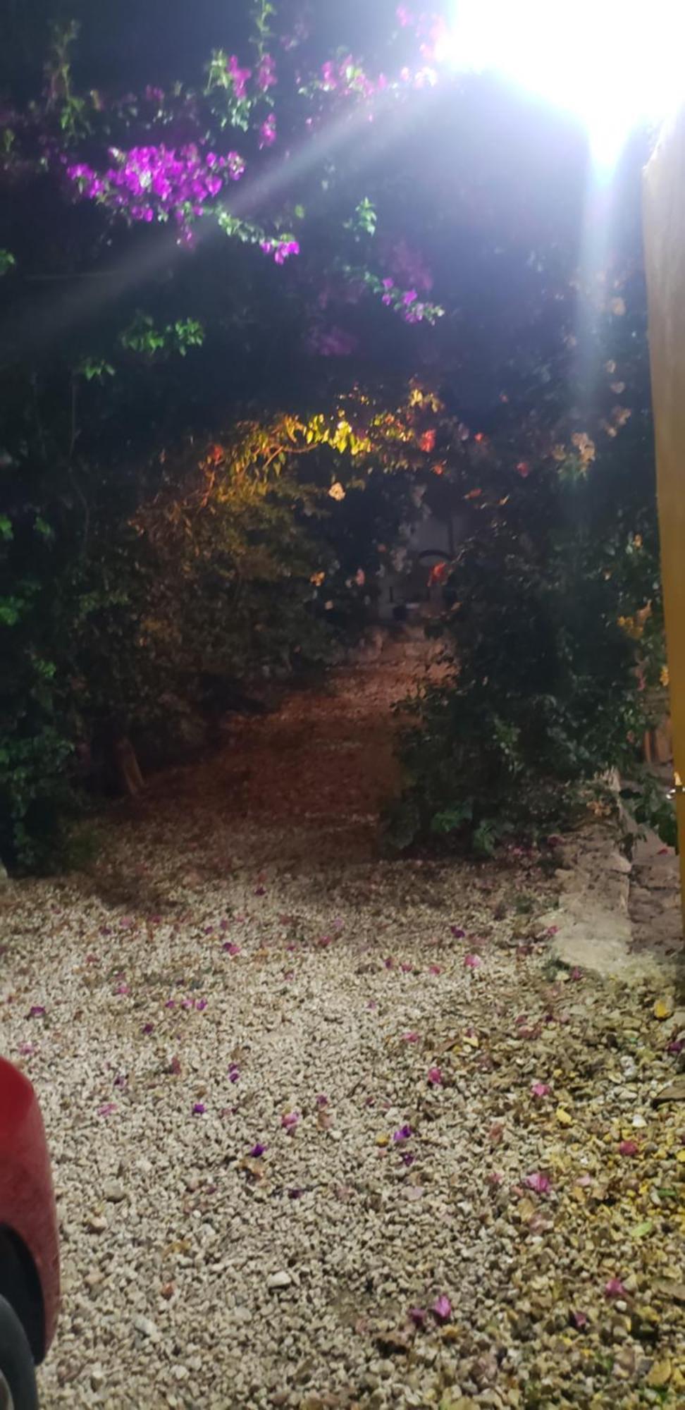 Casa "Los Jarochos" 2 Valladolid  Kültér fotó